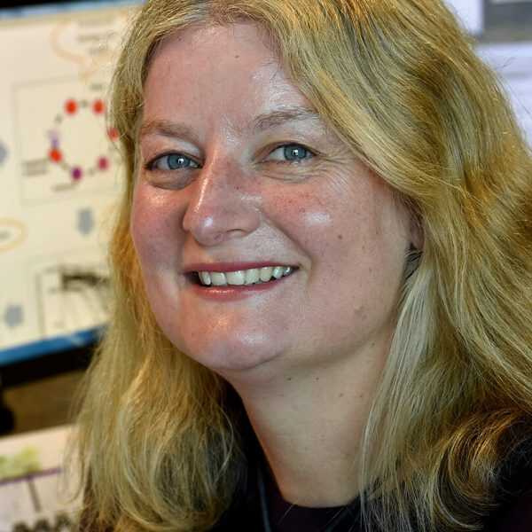 Professor Julie Simpson