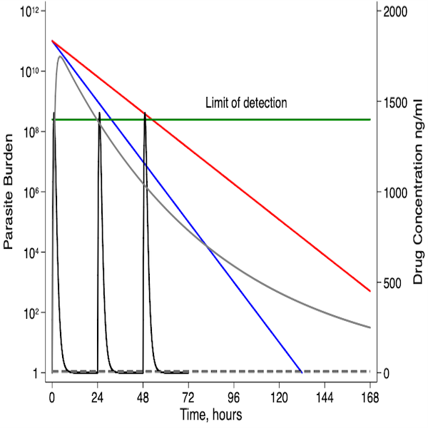 Within-host malaria modelling to improve the treatment of malaria